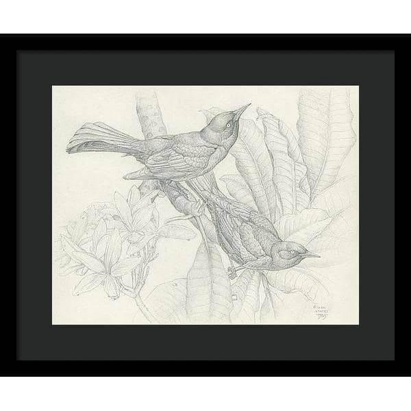 Grackles - Framed Print | Artwork by Glen Loates