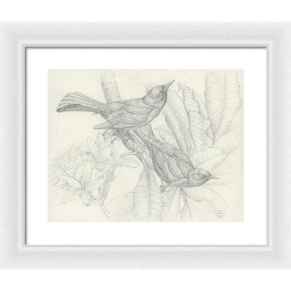 Grackles - Framed Print | Artwork by Glen Loates