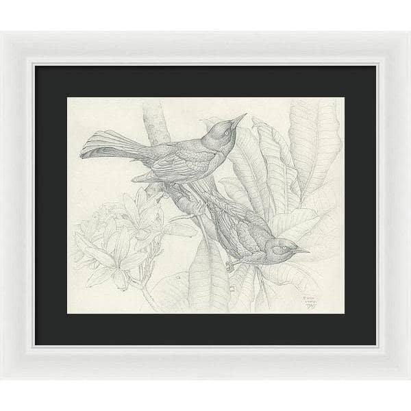 Grackles - Framed Print | Artwork by Glen Loates