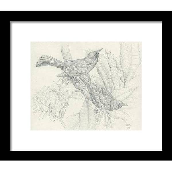 Grackles - Framed Print | Artwork by Glen Loates