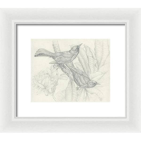Grackles - Framed Print | Artwork by Glen Loates