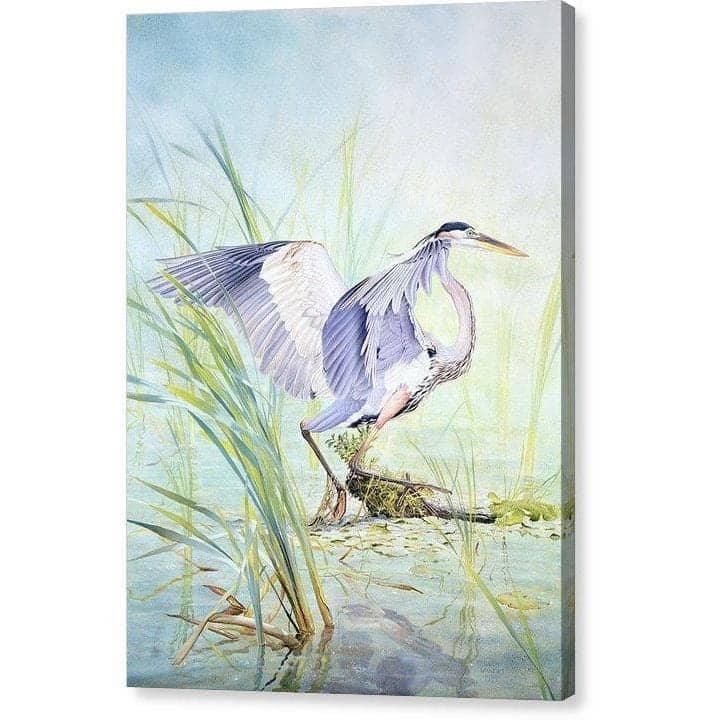 Great Blue Heron - Canvas Print | Artwork by Glen Loates