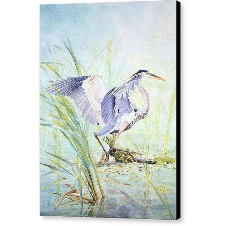 Great Blue Heron - Canvas Print | Artwork by Glen Loates