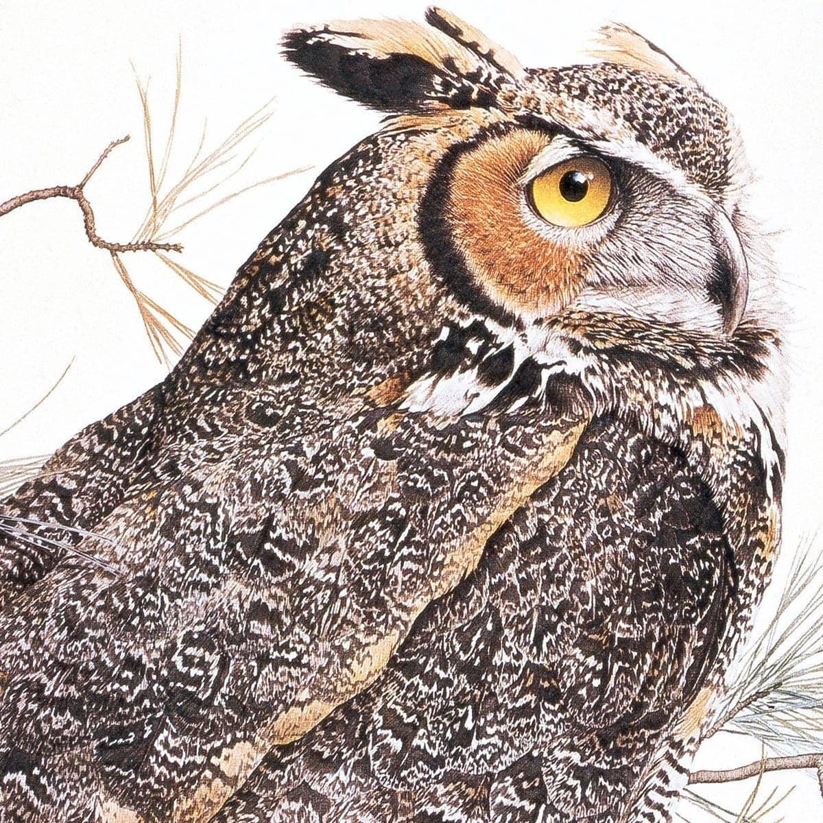 Great-Horned Owl - Canvas Print | Artwork by Glen Loates