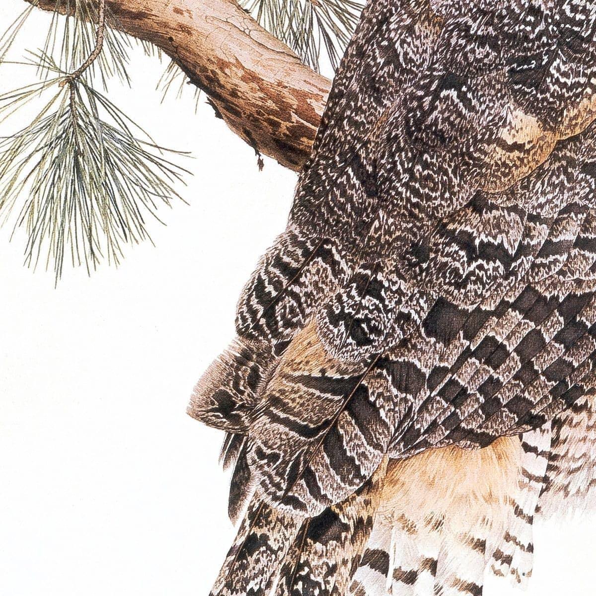 Great-Horned Owl - Canvas Print | Artwork by Glen Loates