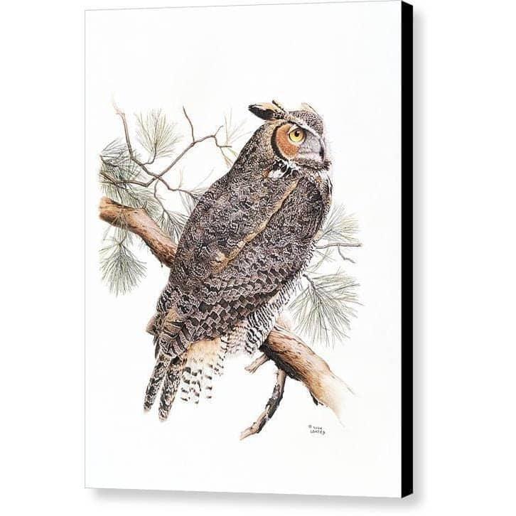 Great-Horned Owl - Canvas Print | Artwork by Glen Loates