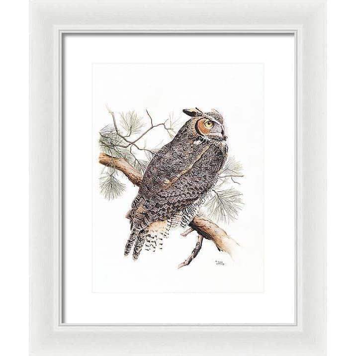 Great-Horned Owl - Framed Print | Artwork by Glen Loates