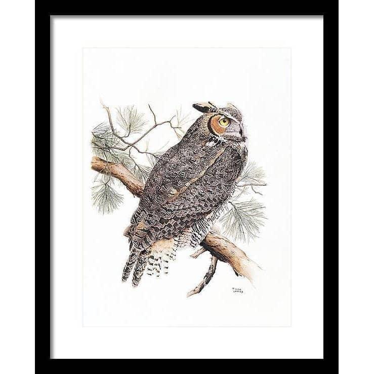 Great-Horned Owl - Framed Print | Artwork by Glen Loates