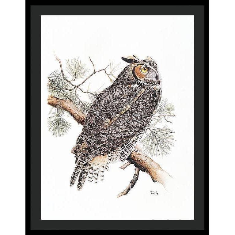 Great-Horned Owl - Framed Print | Artwork by Glen Loates