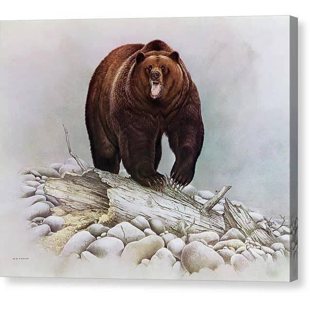 Ours grizzly par Glen Loates, toile de galerie : un grizzly enjambant un vieux tronc sur une rive caillouteuse