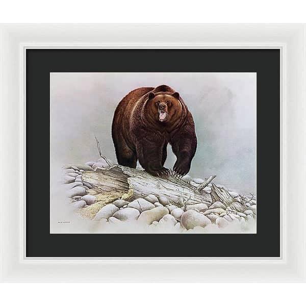 Grizzly Bear - Framed Print | Artwork by Glen Loates