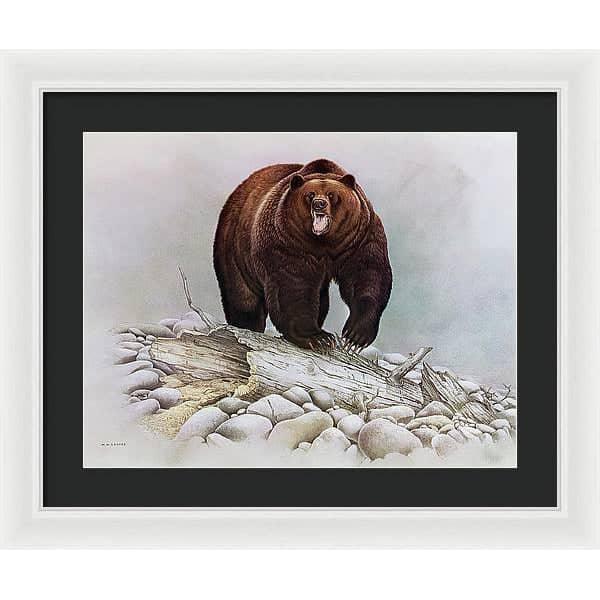 Grizzly Bear - Framed Print | Artwork by Glen Loates