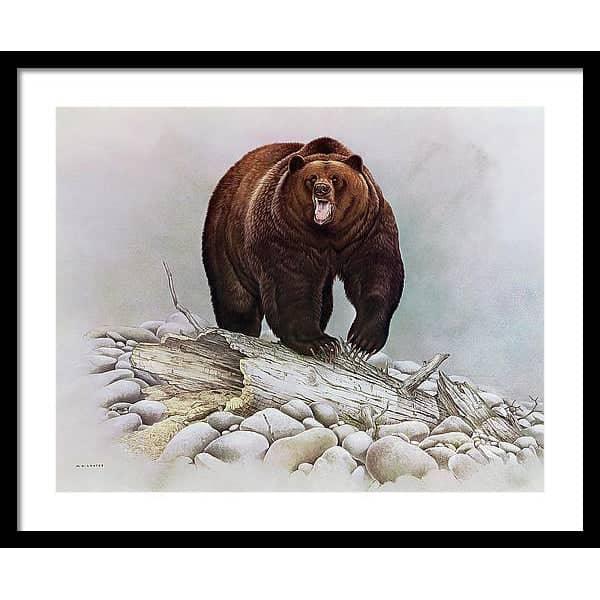 Grizzly Bear - Framed Print | Artwork by Glen Loates