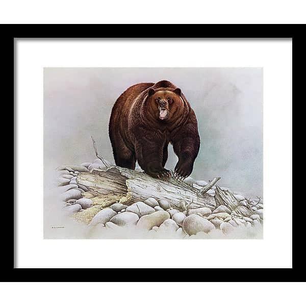 Grizzly Bear - Framed Print | Artwork by Glen Loates