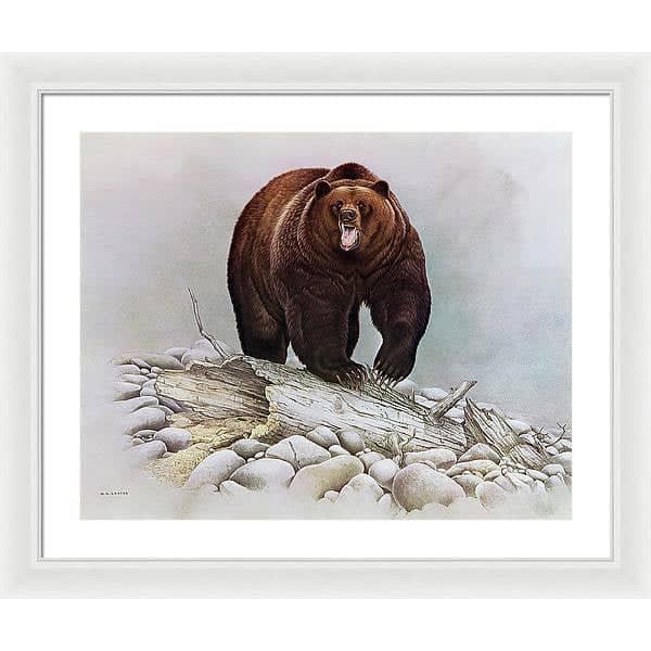 Grizzly Bear - Framed Print | Artwork by Glen Loates