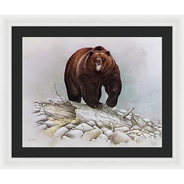 Grizzly Bear - Framed Print | Artwork by Glen Loates