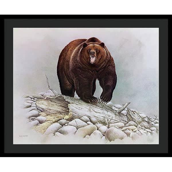 Grizzly Bear - Framed Print | Artwork by Glen Loates