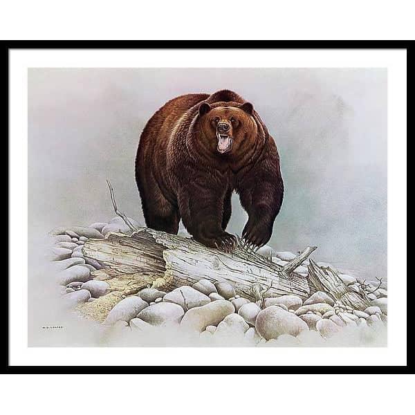 Grizzly Bear - Framed Print | Artwork by Glen Loates