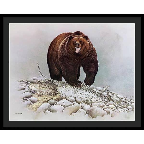Grizzly Bear - Framed Print | Artwork by Glen Loates