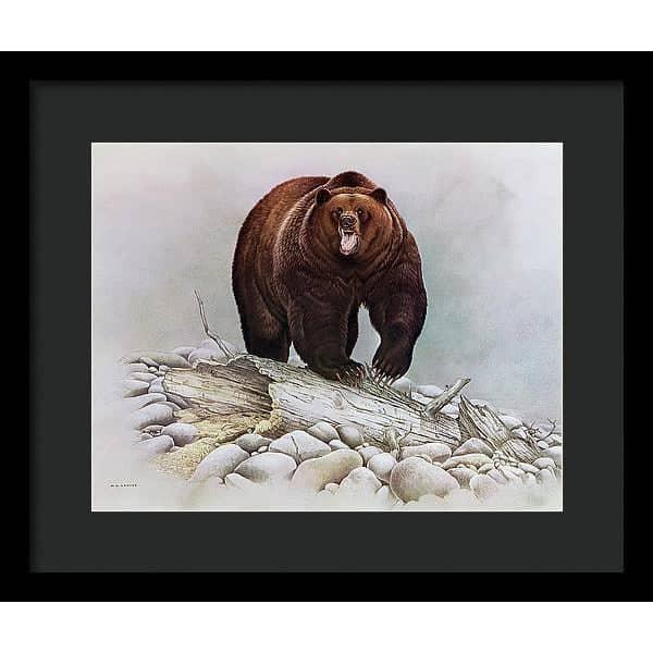 Grizzly Bear - Framed Print | Artwork by Glen Loates