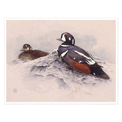 Giclée sur Papier