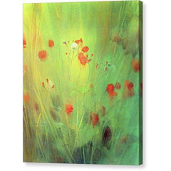 Gallery Canvas