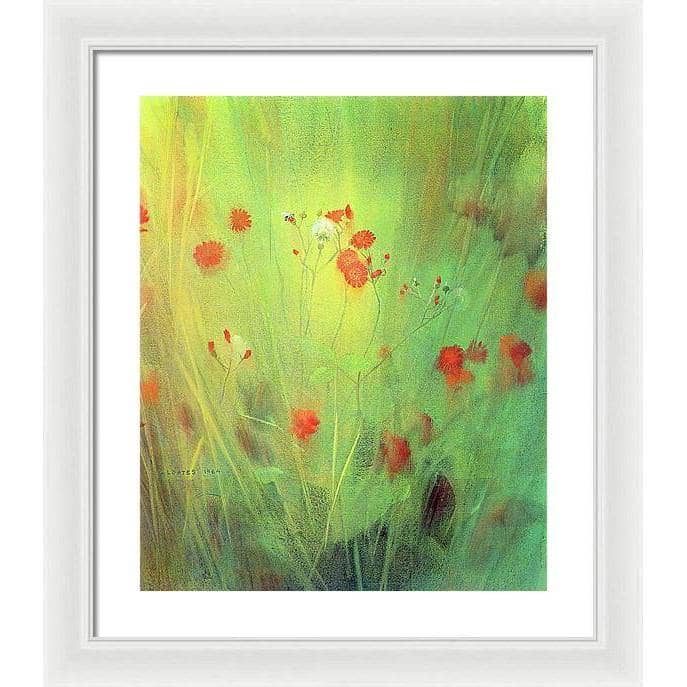 Hawkweed - Framed Print | Artwork by Glen Loates