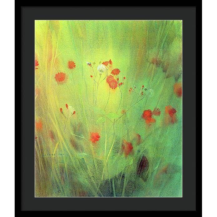 Hawkweed - Framed Print | Artwork by Glen Loates