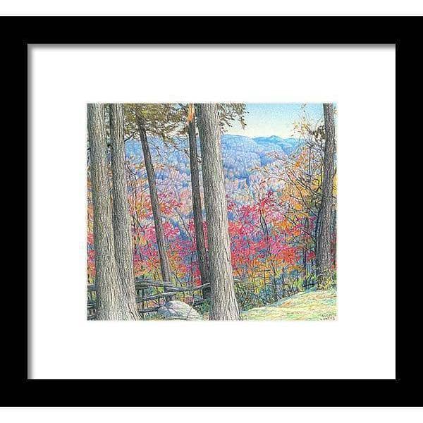 Roche de Hockley Valley par Glen Loates, œuvre encadrée : de hauts troncs encadrant une vallée aux collines d’automne rouges et dorées