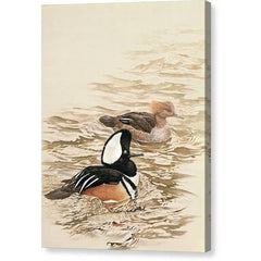Gallery Canvas