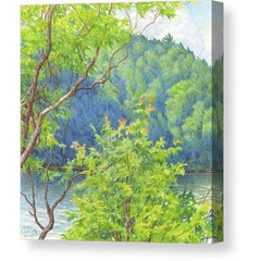 Gallery Canvas