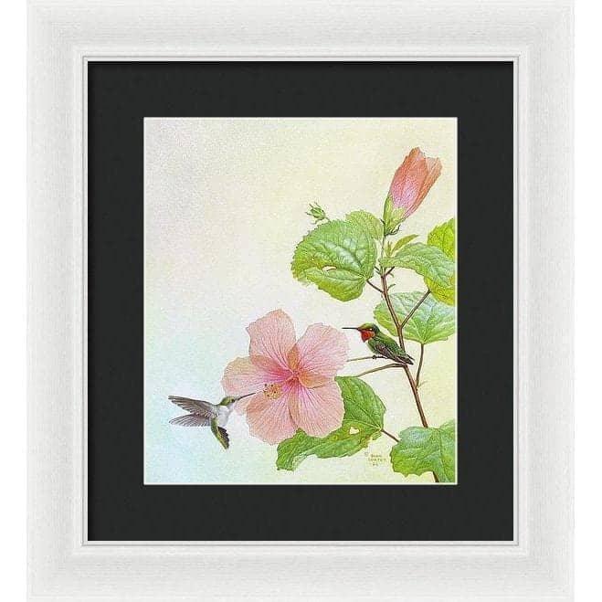 Hummingbirds and Hibiscus - Framed Print | Artwork by Glen Loates