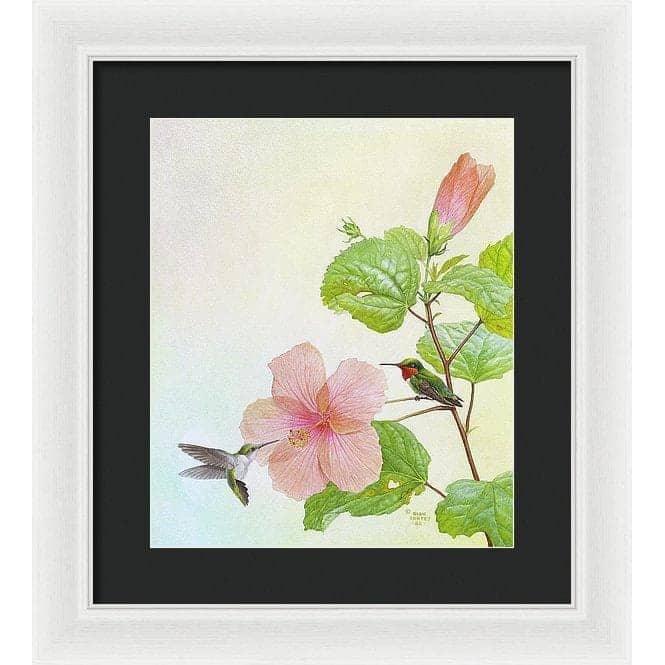 Hummingbirds and Hibiscus - Framed Print | Artwork by Glen Loates