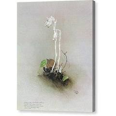 Toile galerie