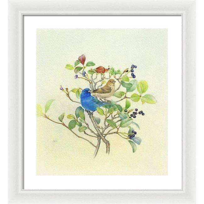 Indigo Buntings - Framed Print | Artwork by Glen Loates