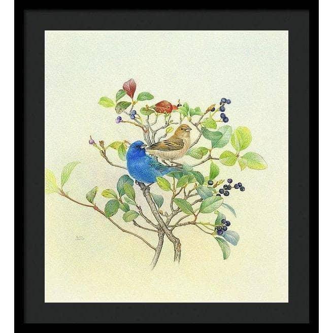 Indigo Buntings - Framed Print | Artwork by Glen Loates