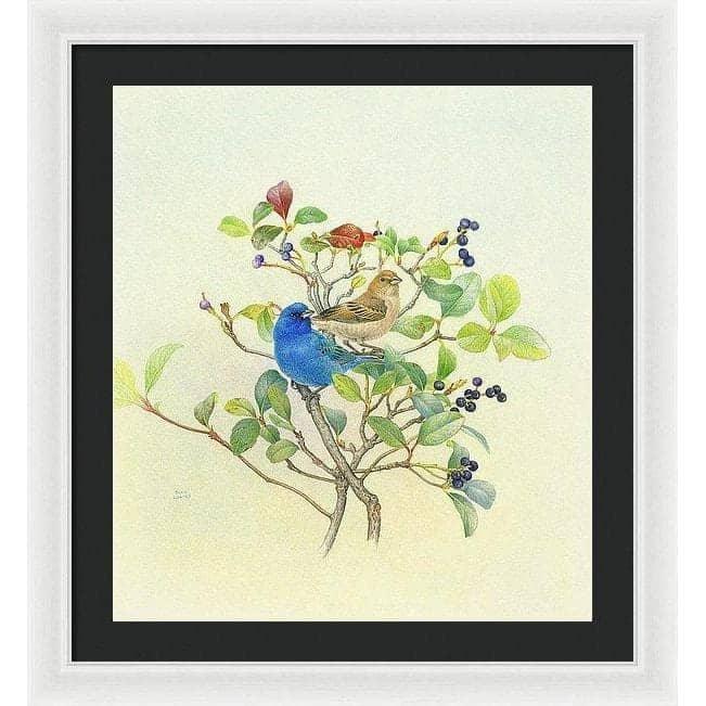 Indigo Buntings - Framed Print | Artwork by Glen Loates