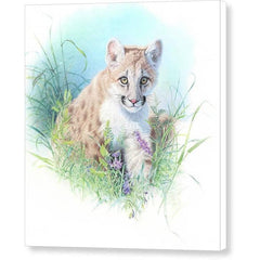 Gallery Canvas