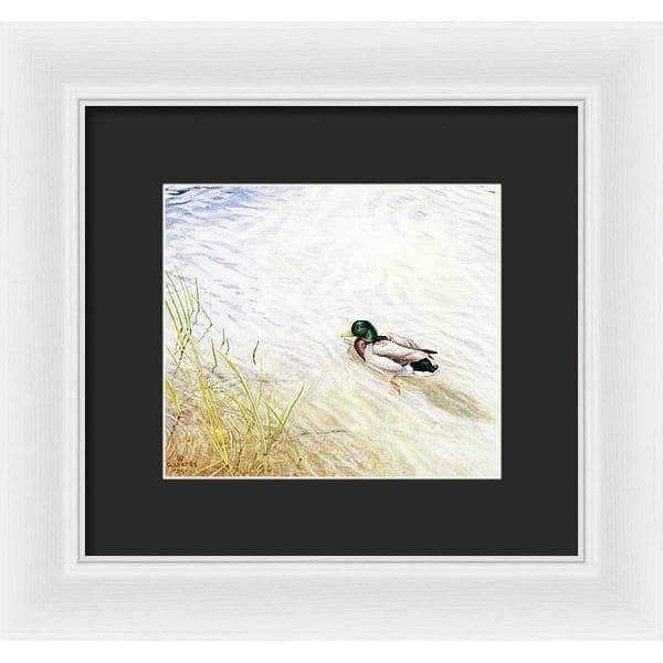 Into The Shallows - Framed Print | Artwork by Glen Loates