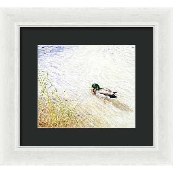 Into The Shallows - Framed Print | Artwork by Glen Loates