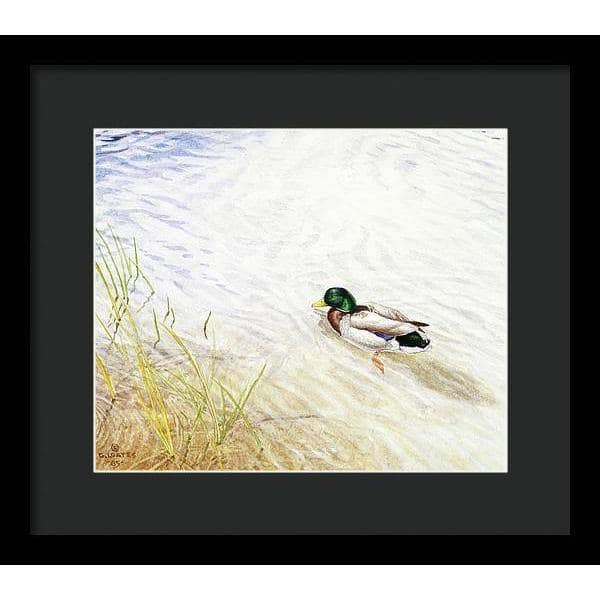 Into The Shallows - Framed Print | Artwork by Glen Loates