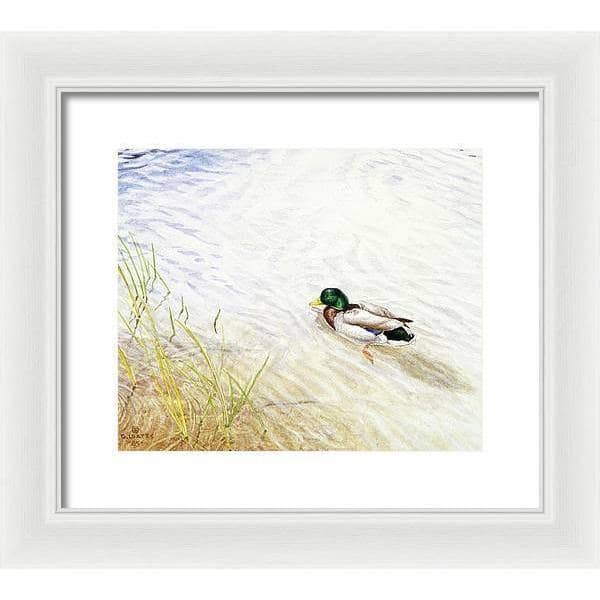 Into The Shallows - Framed Print | Artwork by Glen Loates