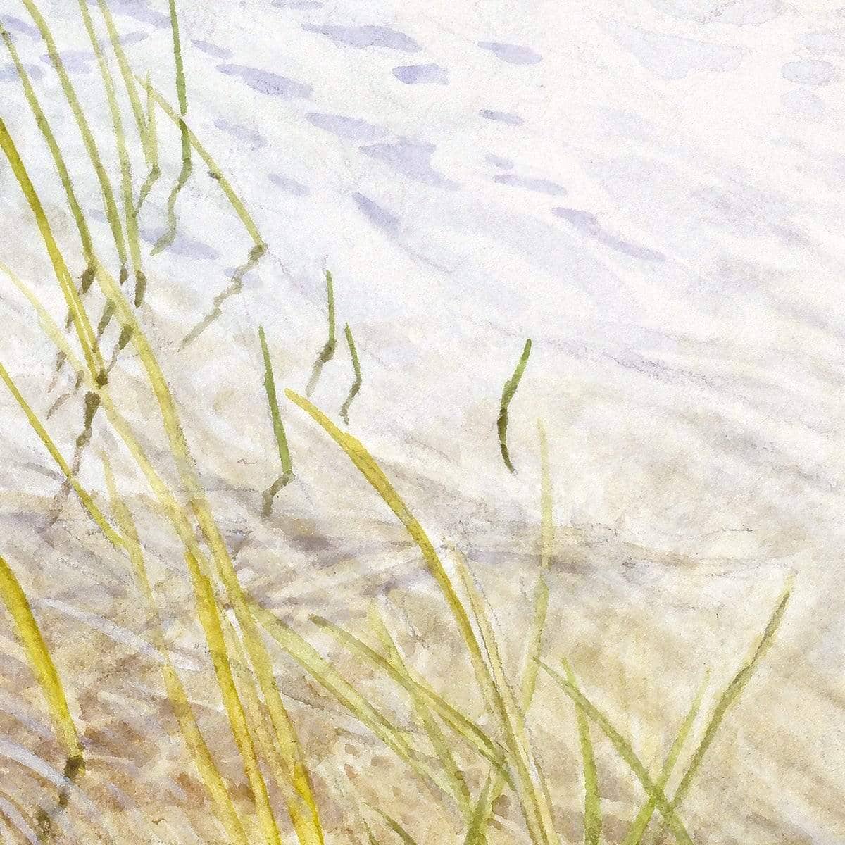 Into The Shallows - Framed Print | Artwork by Glen Loates