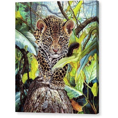 Gallery Canvas