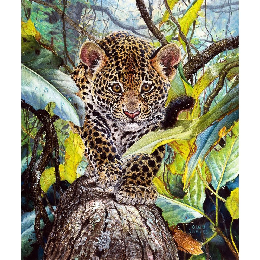 Jaguar Cub - Framed Print | Artwork by Glen Loates