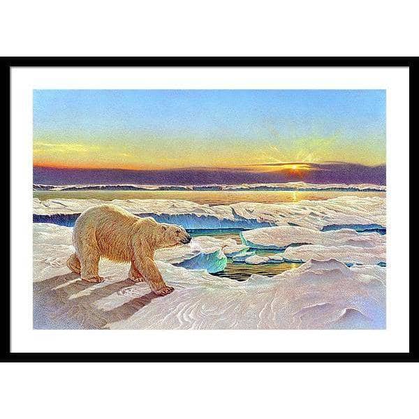 King of the Midnight Sun - Framed Print | Artwork by Glen Loates