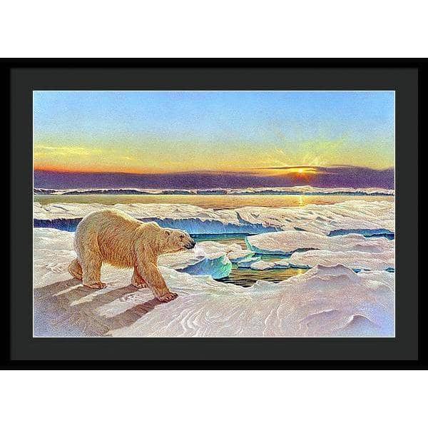 King of the Midnight Sun - Framed Print | Artwork by Glen Loates