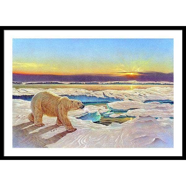 King of the Midnight Sun - Framed Print | Artwork by Glen Loates