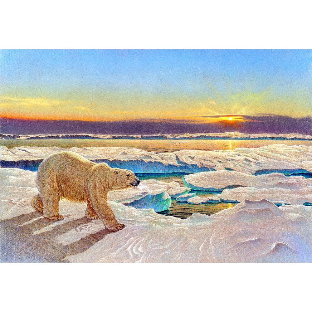 King of the Midnight Sun - Framed Print | Artwork by Glen Loates
