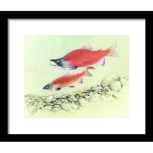 Saumon Kokanee par Glen Loates, œuvre encadrée : deux saumons kokanis rouges au-dessus d’un lit de ruisseau caillouteux